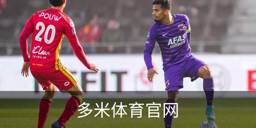多米体育官网品牌故事